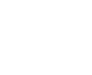 Logo Ona System